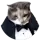 Dont Sub To Me