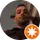 Polat Doruk