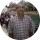 Ekrem Ucar