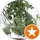 Eyüp Öncül