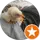Erkut Alimert