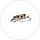 -Enz