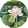 Gamze Ters