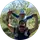 Dad Son