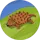 Himmet Çetiner