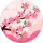 Dlk Erd