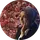 Hüsne Akgöz