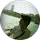 Cihat Aydoğan