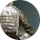 Pubg Mobile