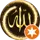Muhsin T