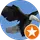 Asi Kartal