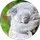 Çiçek Topçu