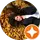 Büşra Ilgn