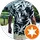 C Z