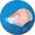 Ayşenur Karakullukçu