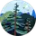 Sr_ Vt