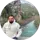 Mehmet Ceylan