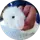 G0Rky06 Eğitimci