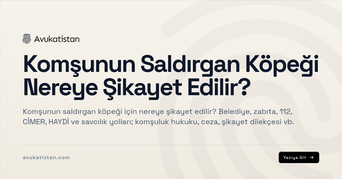 Komşunun Saldırgan Köpeği Nereye Şikayet Edilir?