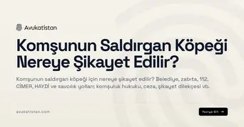 Komşunun Saldırgan Köpeği Nereye Şikayet Edilir?