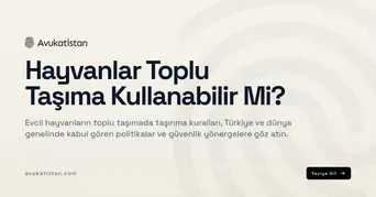 Hayvanlar Toplu Taşıma Kullanabilir Mi?