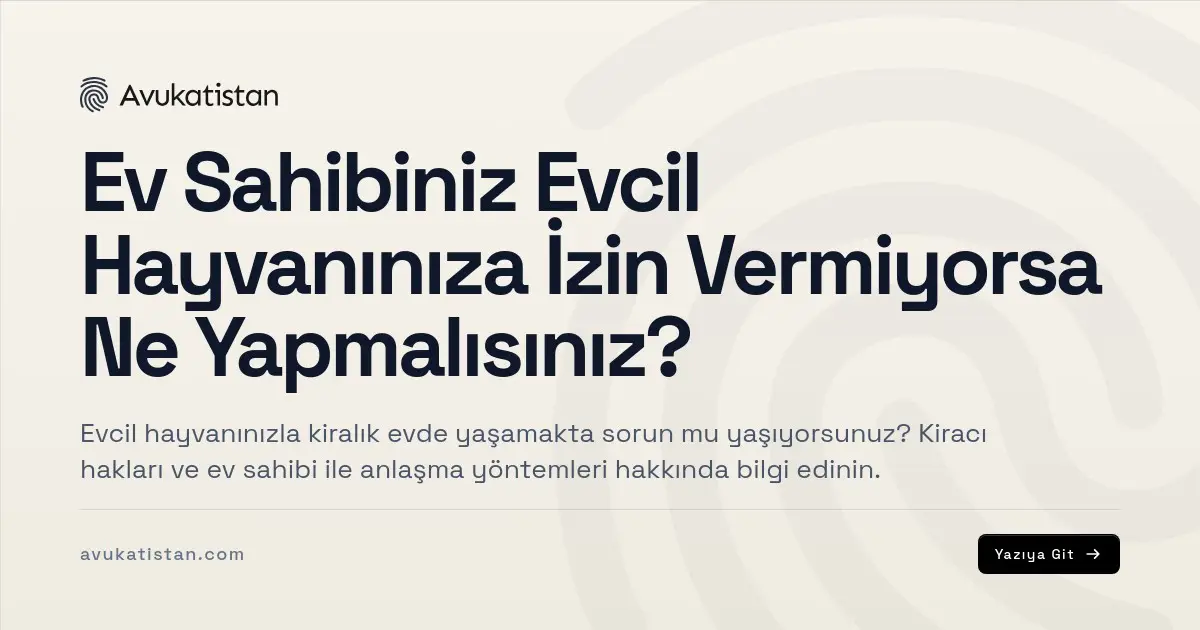 Ev Sahibiniz Evcil Hayvanınıza İzin Vermiyorsa Ne Yapmalısınız?